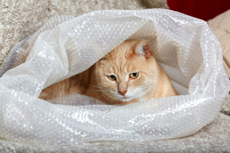 moving companies packing